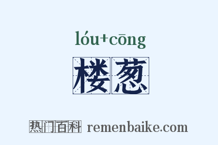 楼葱是什么意思的图片
